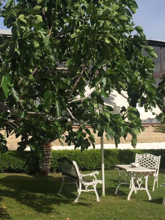 Zia Bi Bed And Breakfast Napels Buitenkant foto